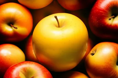 Illustration canonic - Image 1