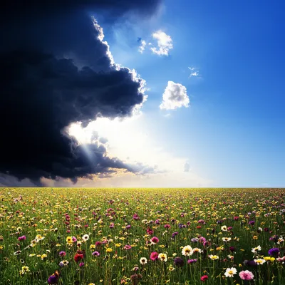 Illustration relents - Image 1