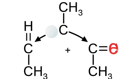 Hình ảnh minh họa secondary - Ảnh 1