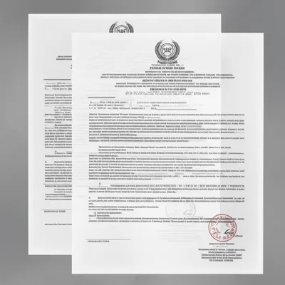 Illustration counterpart - Image 1