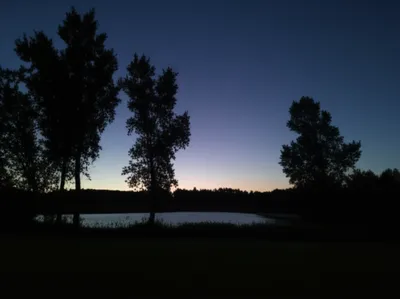 Illustration dawn - Image 1