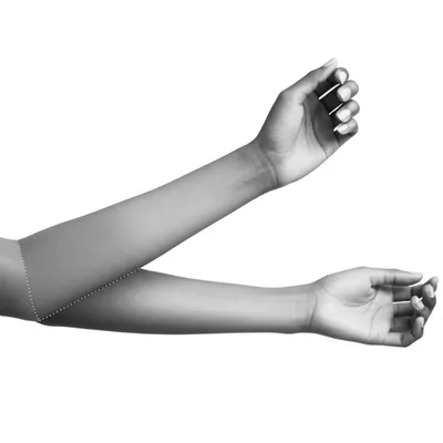 Illustration forearm