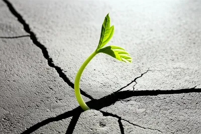 Illustration might - Image 1