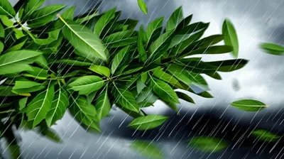 Illustration shaken - Image 1