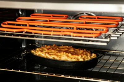 Illustration salamanders - Image 1