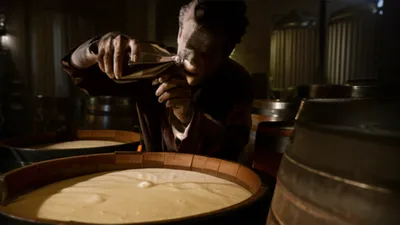 Illustration bittern - Image 1