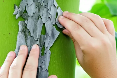 Illustration scaling - Image 1