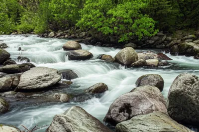 Illustration sharps - Image 1