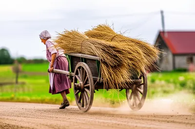 Illustration trundle - Image 1