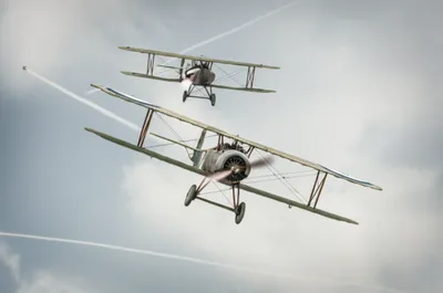 Illustration crabbed - Image 1