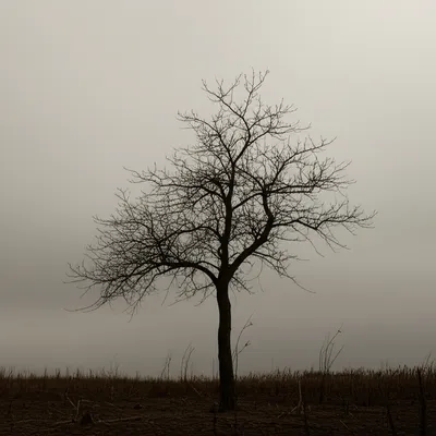 Illustration darker - Image 1