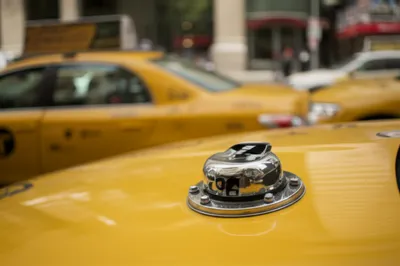 Illustration medallion - Image 1