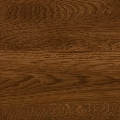 Illustration oak - Image 1