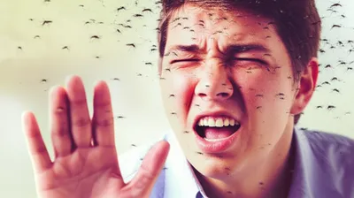 Illustration irritating - Image 1