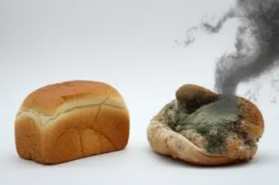 Illustration leavened - Image 1