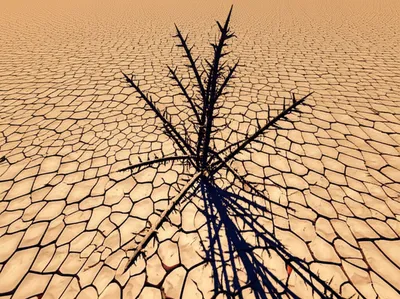 Illustration unfriendly