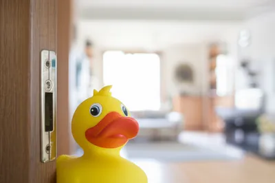 Illustration duck - Image 1