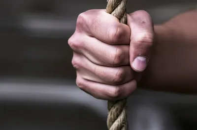 Illustration caught - Image 1