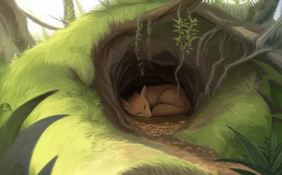 Illustration dens - Image 1