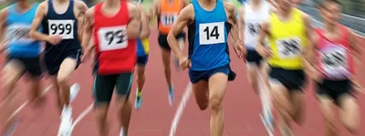 Illustration fourteenth - Image 1