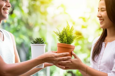 Illustration traded - Image 1