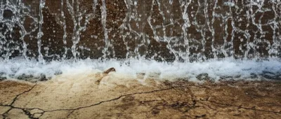 Illustration flushes - Image 1