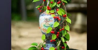 Illustration porcelains - Image 1