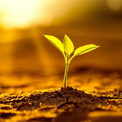 Illustration newer - Image 1