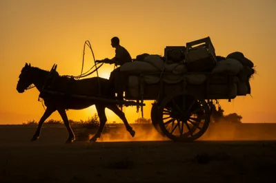 Illustration carmen - Image 1