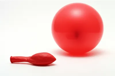 Illustration shrink - Image 1