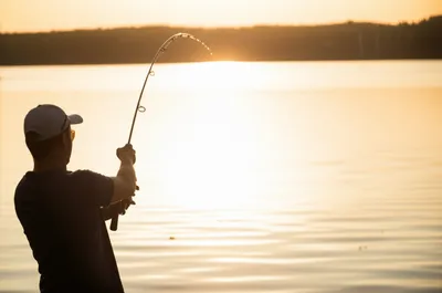 Illustration casts - Image 1