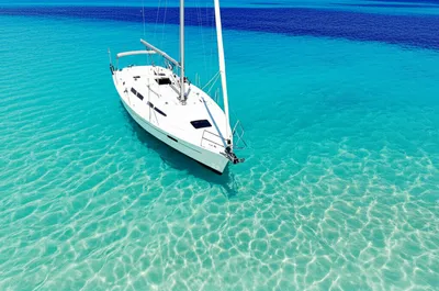 Illustration shoals - Image 1