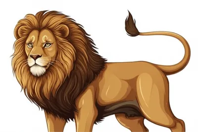 Illustration reverberant