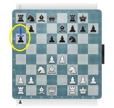 Illustration develop - Image 5