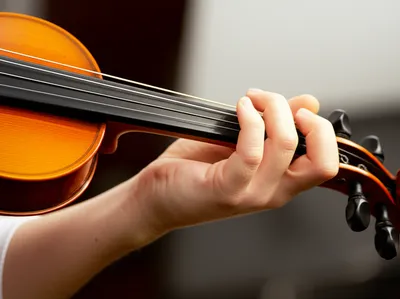 Hình ảnh minh họa fingerboard