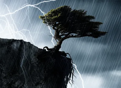 Illustration stays - Image 1