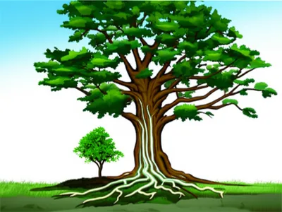 Illustration inheriting - Image 1