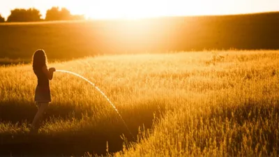 Illustration weed - Image 1