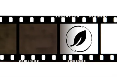 Hình ảnh minh họa developing - Ảnh 1