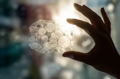 Illustration transparency - Image 1