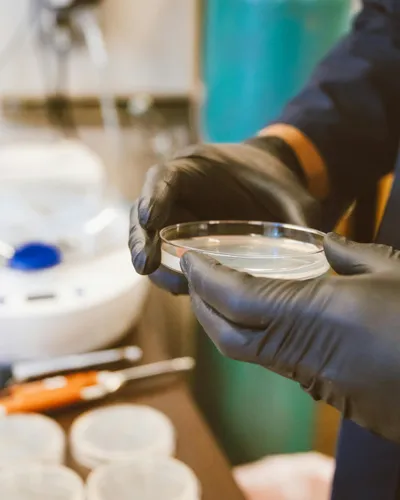 Illustration agar - Image 1