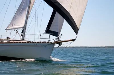 Illustration fills - Image 1