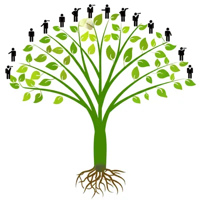 Illustration conjugating