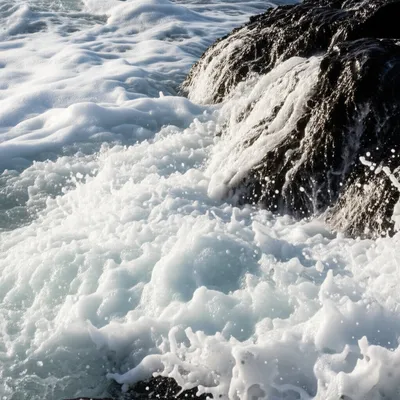 Illustration spumes - Image 1