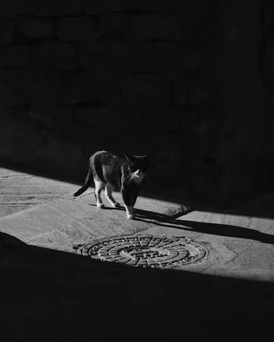 Illustration contrasts - Image 2