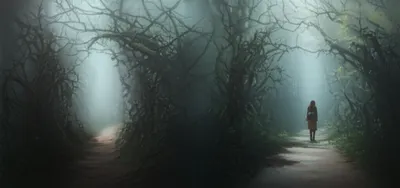 Illustration s - Image 1