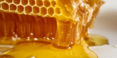 Illustration oozing - Image 1