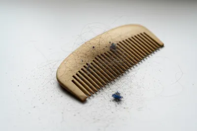 Illustration combings