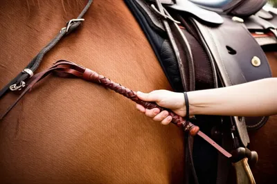 Illustration crop - Image 1