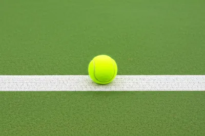 Illustration in - Image 1